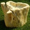 Furniture made from petrified cactus