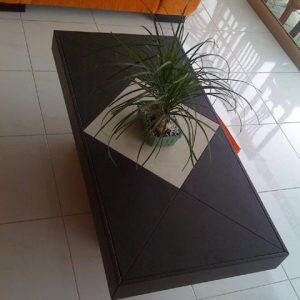 Coffee Table Apia